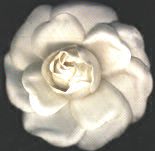 RADIOGRAFIA DE UN INSUMISO